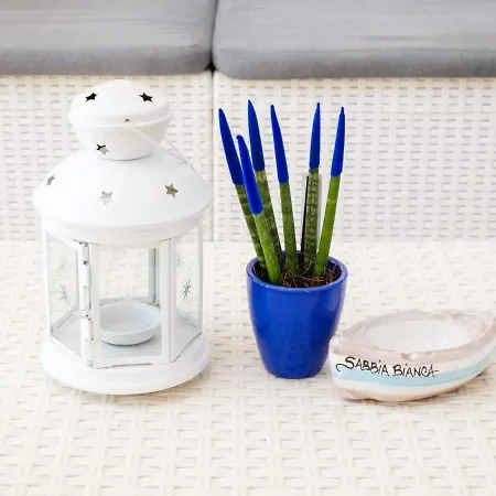 بيت ضيافة Sabbia Bianca